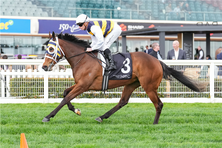 Femminile won the SA Derby.