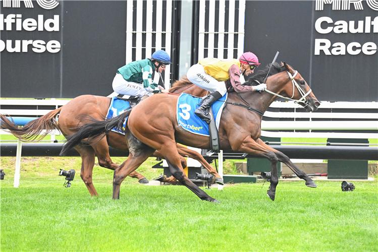 <p data-olk-copy-source='MessageBody'>Last year’s Blue Diamond winner Devil Night was runner-up to Field Of Play in the Blue Diamond Prelude.<br><br>