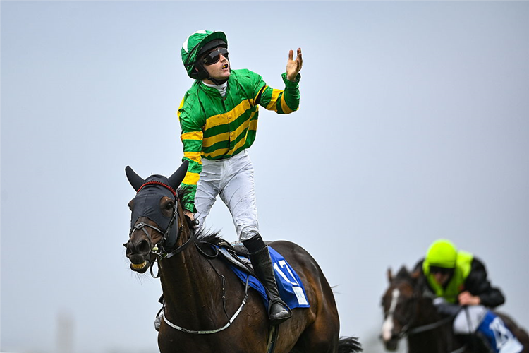 FILEY BAY winning the Connacht Hotel Handicap at Ballybrit in Galway.