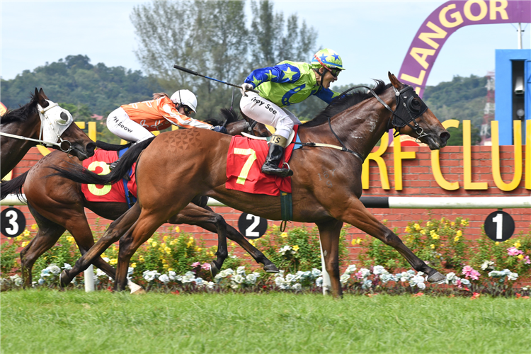 FILIAL DRAGON winning the Jun 29 2025 Selangor Meeting Race 7 (451)
