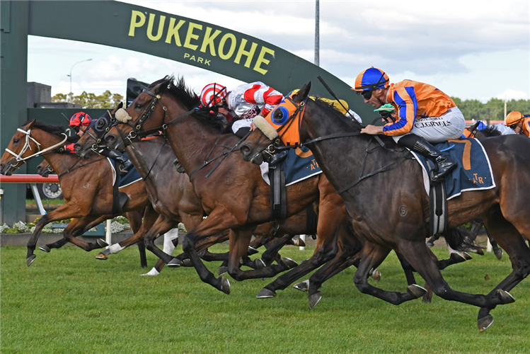 FINAL RETURN winning the MYRACEHORSE COUNTIES CUP