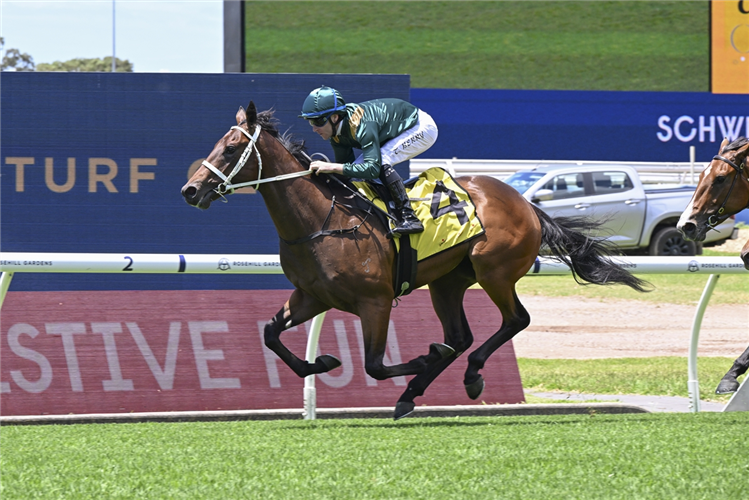 FIREBALL winning the SCHWEPPES HANDICAP at Rosehill in Australia.
