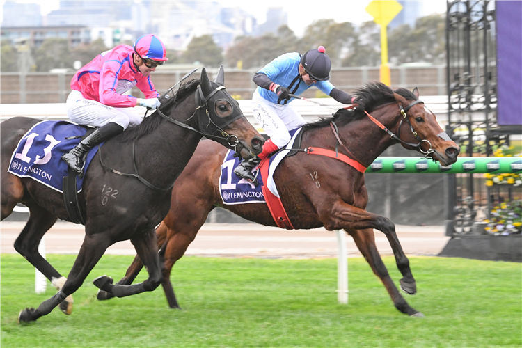 FLASH FEELING winning the 2025 Country Achiever Eric Musgrove at Flemington in Australia.