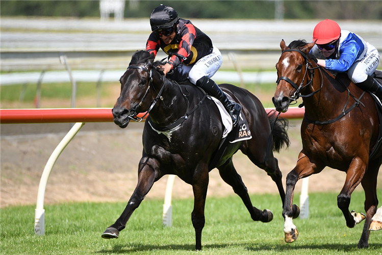 FORCE OF NATURE winning the LEGACY LODGE SPRINT