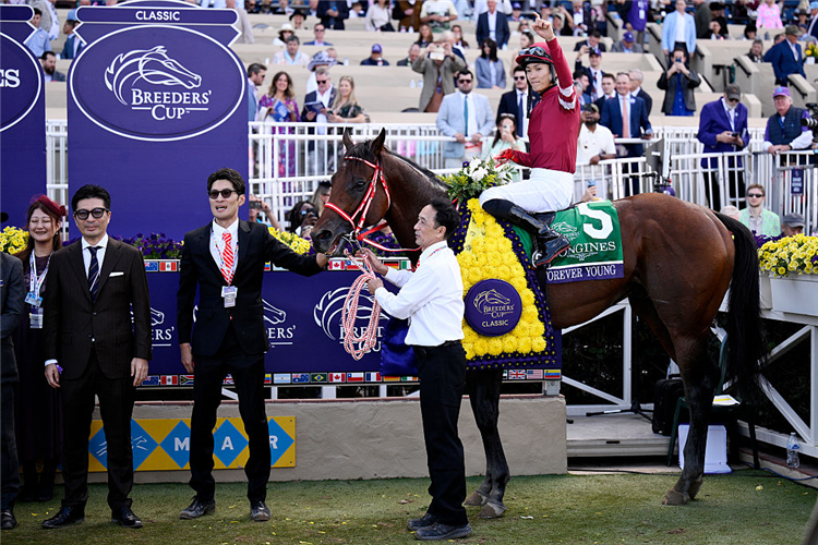 FOREVER YOUNG after winning the Breeders' Cup Classic at Del Mar in California.
