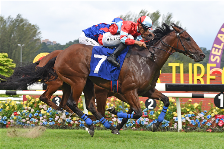 FORTUNE TREE winning the Race 9 (736)