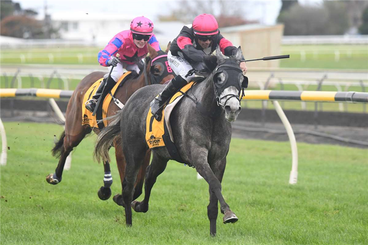 FREEBELLE winning the THE BOLD ONE @ GRANGEWILLIAM STUD MDN 2YO & UP
