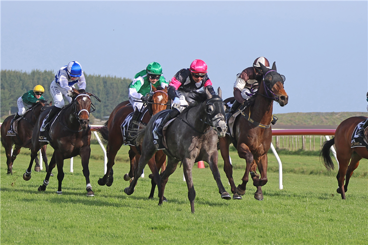 FREEBELLE (pink cap) winning the MURDOCH CONTRACTING