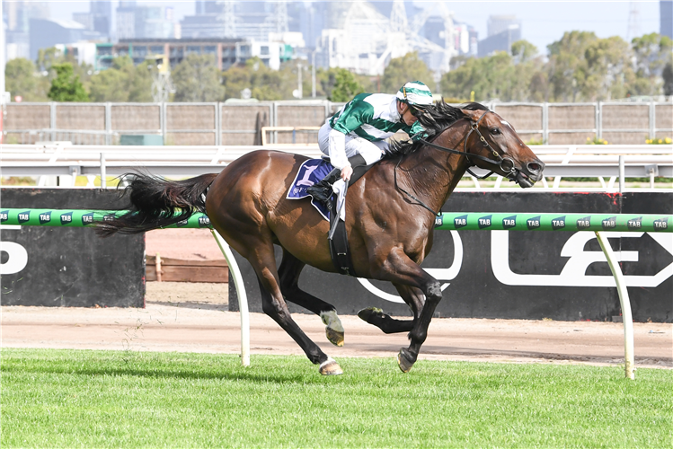 Future History winning the Bagot Handicap at Flemington in Australia.