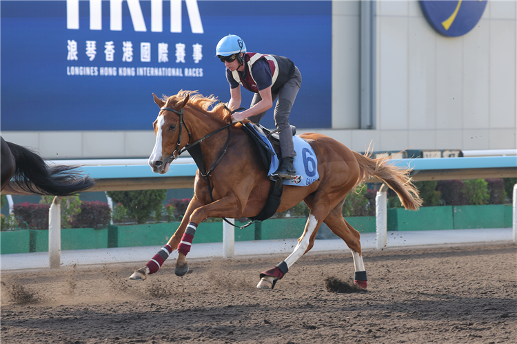 GALEN - LONGINES Hong Kong International Races Thursday Trackwork