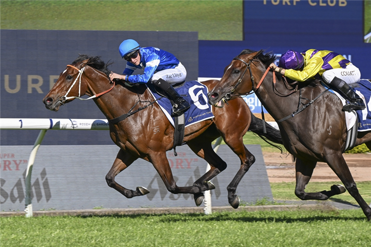 GANGSTA GRANNY winning The Nivison at Rosehill in Australia.