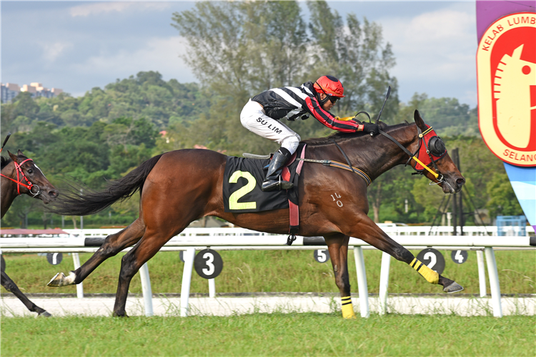 GENRICH winning the May 17 2025 Selangor Meeting Race 10 (338)
