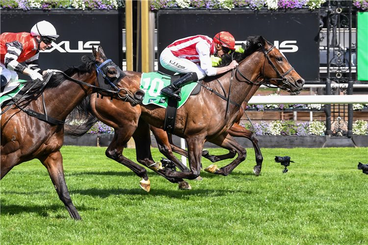 GETTA GOOD FEELING winning the TAB Edward Manifold Stakes at Flemington in Australia.