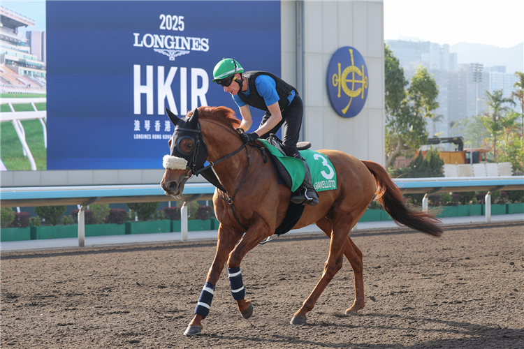 GIAVELLOTTO - LONGINES Hong Kong International Races Trackwork