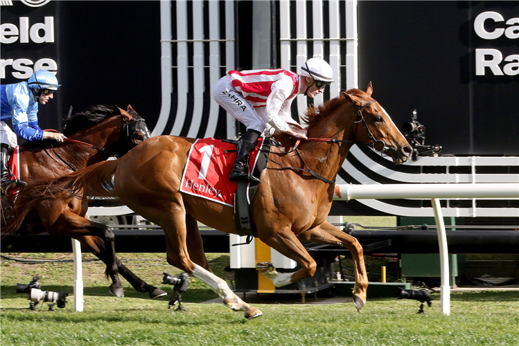 GIGA KICK winning the Henley Homes Schillaci Stakes at Caulfield in Australia.