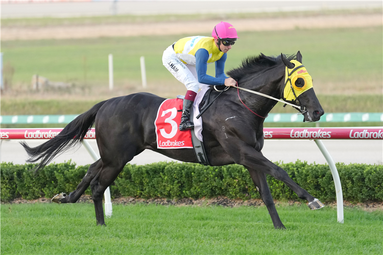 GLOBAL ECLIPSE winning the Owners Bonus Maiden at Cranbourne in Australia.