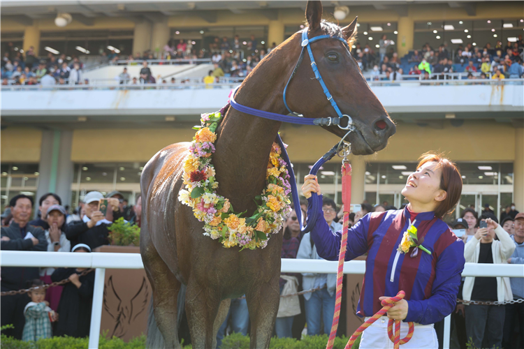 GLOBAL HIT winning the Class Open Weight for Age