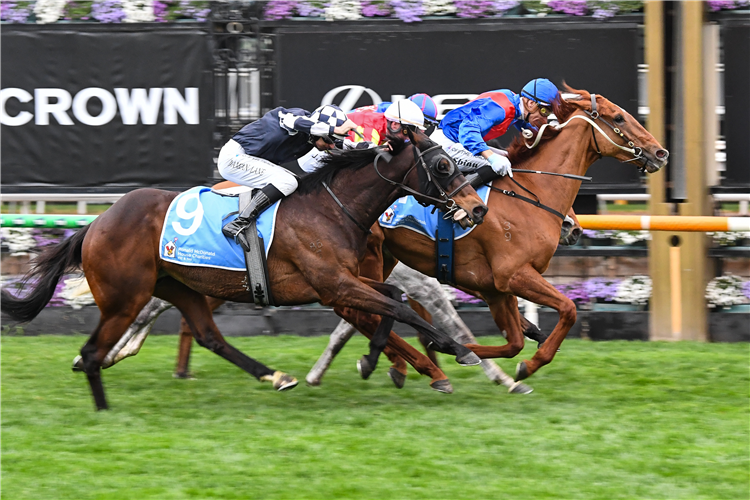 GOLDEN PATH winning the House Charities Trophy at Flemington in Australia.