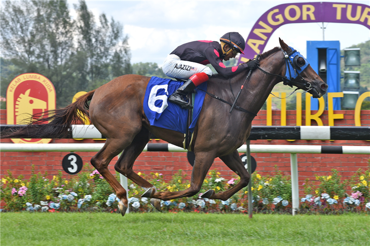 GOLDEN PEGASUS winning the May 17 2025 Selangor Meeting Race 5 (333)