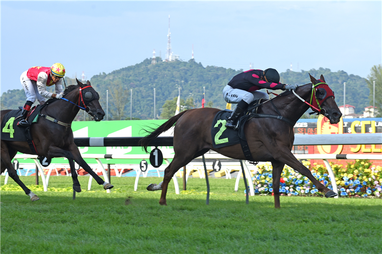 GOLDEN PEGASUS winning the Race 10 (701)