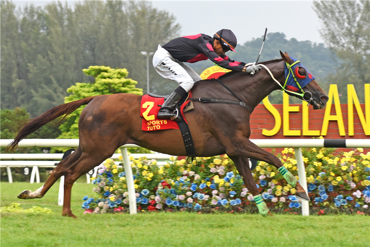 GOLDEN PEGASUS winning the Race 7 (759)