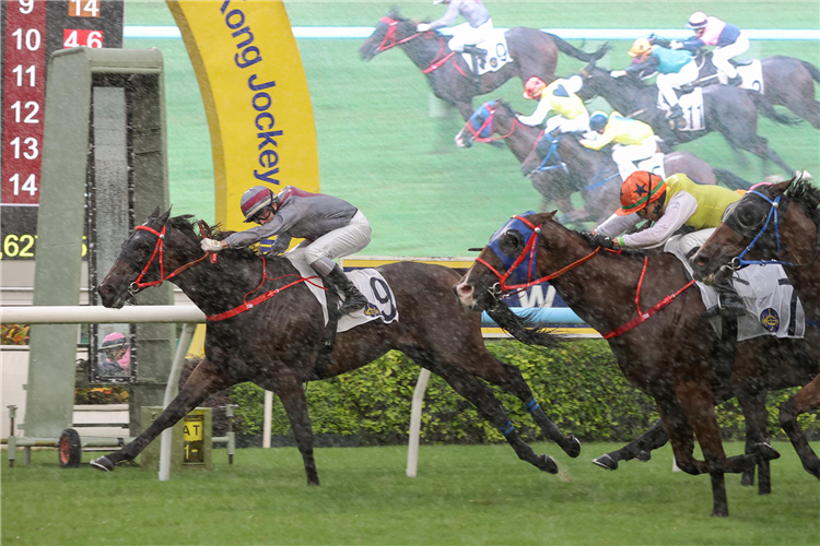 GOOD GOOD winning the KAU TO SHAN HANDICAP