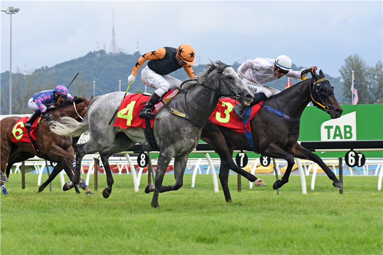 GOOD STAR (all white) winning the Aug 31 2025 Selangor Merdeka Meeting - Hi-Res