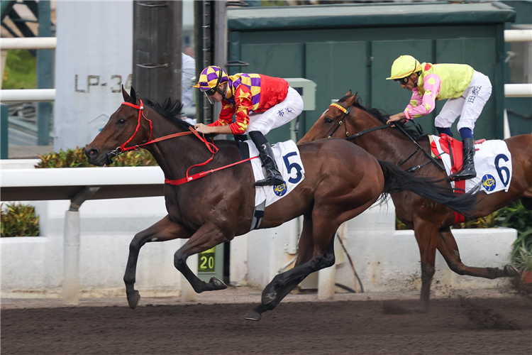 GORGEOUS WIN winning the CHATHAM HANDICAP