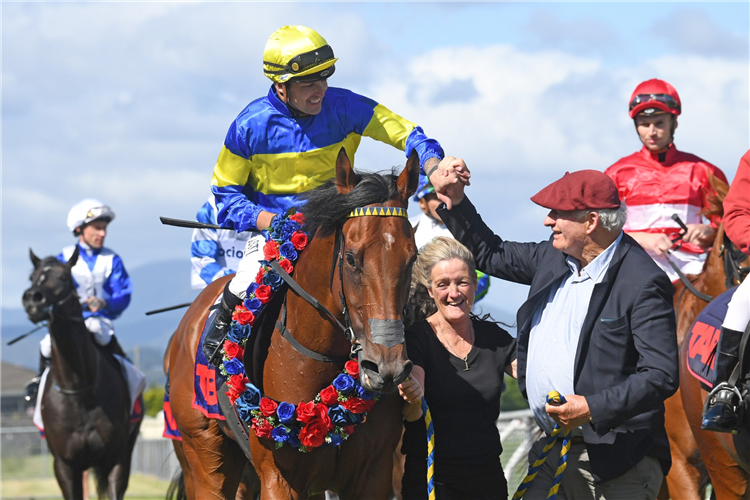 GRAIL SEEKER winning the TAB TELEGRAPH