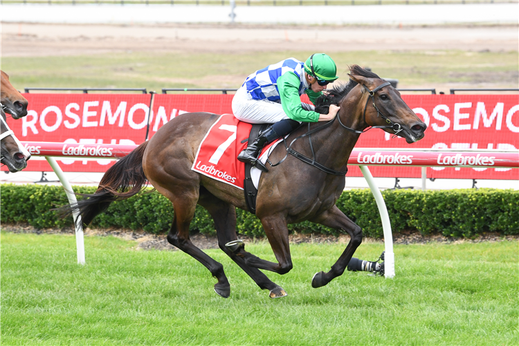 GRID GIRL winning the Rosemont Stud Fillies & Mares Pendant at Cranbourne in Australia.