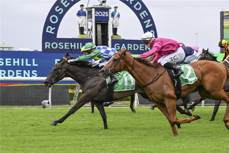 Grid Girl winning the Tab Handicap at Rosehill in Australia.