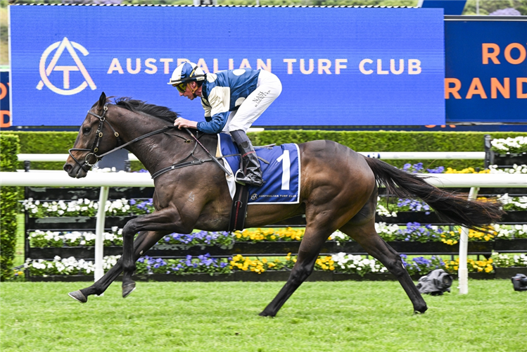 GRINGOTTS winning the BIG DANCE at Randwick in Australia.