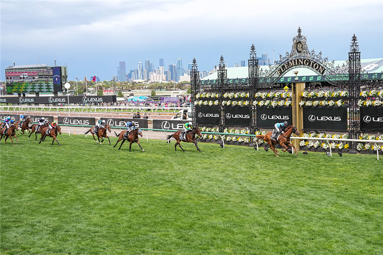 HALF YOURS winning the Melbourne Cup at Flemington in Australia.