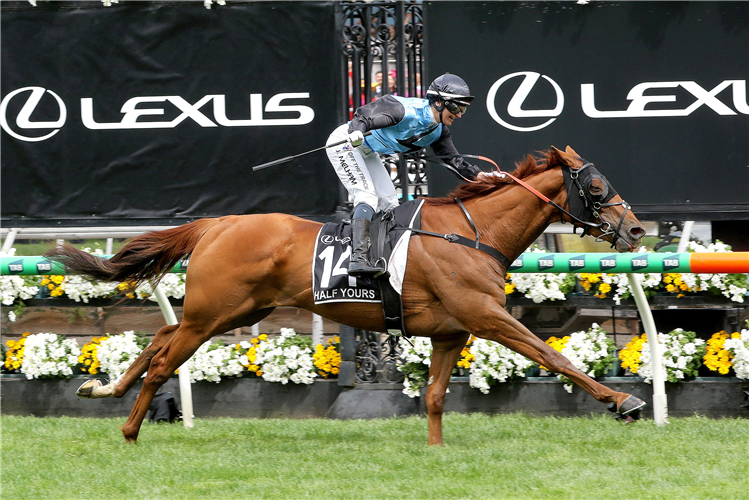 HALF YOURS winning the Lexus Melbourne Cup