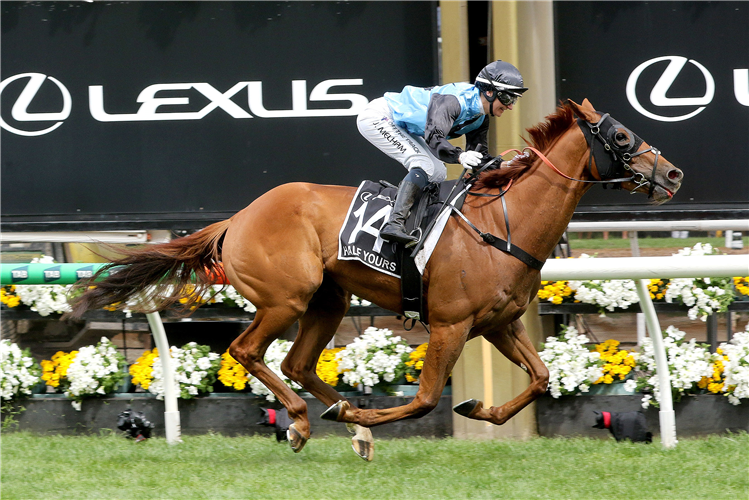 「半属你」胜出墨尔本杯