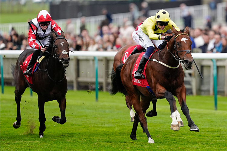 HANKELOW winning the Autumn Stakes at Newmarket in England.