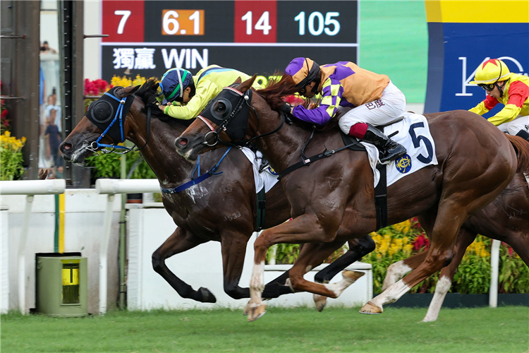 HAPPY UNIVERSE winning the SOLAR HEI HEI HANDICAP