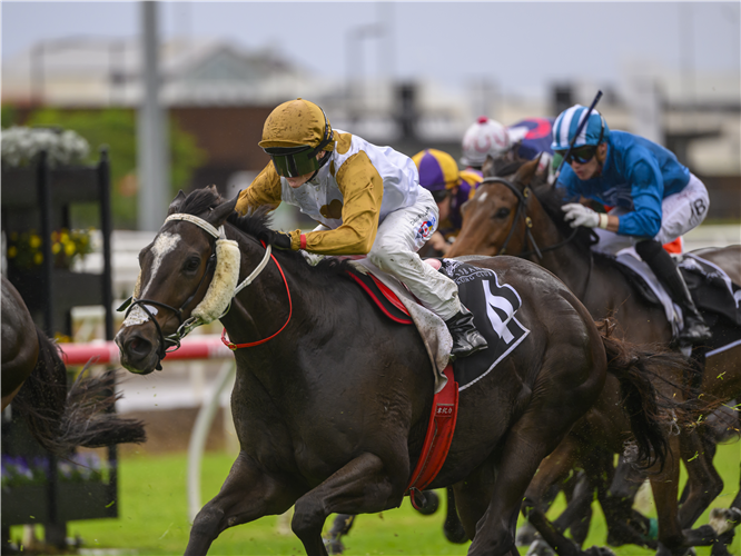 HARBOURMASTER winning the Kilcoy Global Foods Benchmark 78 Handicap at Eagle Farm in Australia.