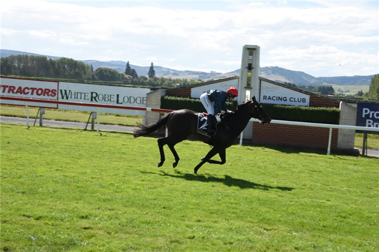 HARLECH winning the NELLIES RESTAURANT & BAR HAZLETT STAKES