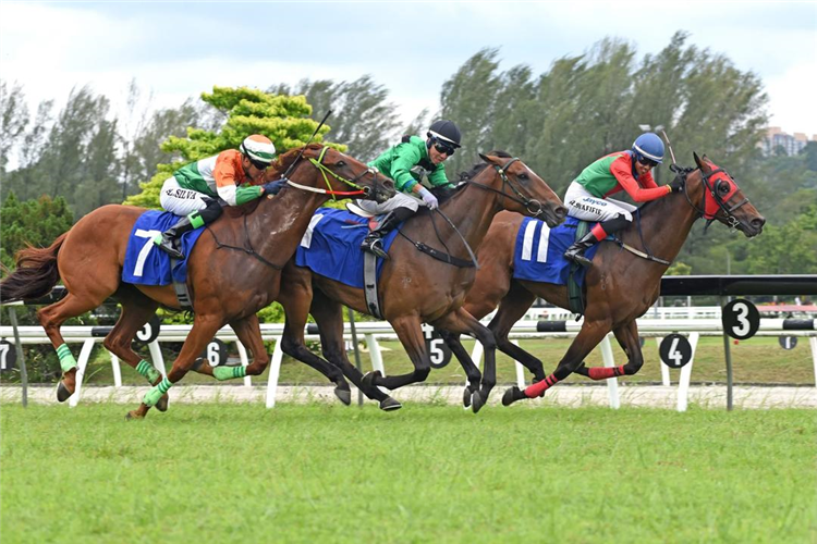 HASTEN winning the Race 7 (734)