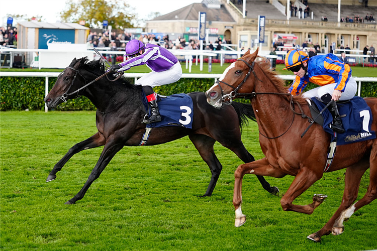 HAWK MOUNTAIN winning the Futurity Trophy Stakes at Doncaster in England.