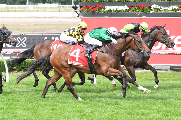 HEARCOMESTHESTAR winning the Unox Casa Lawson Poole Plate at Cranbourne in Australia.