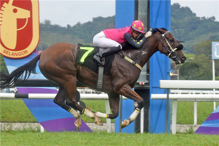 HEART OF FIRE winning the Jan 04 2025 Selangor Meeting Race 8 (8)