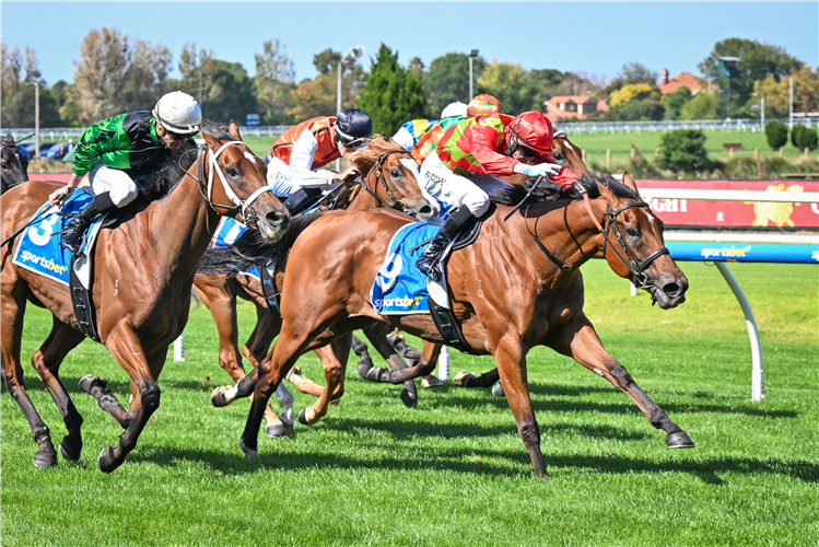 We're racing at Caulfield on Saturday.
