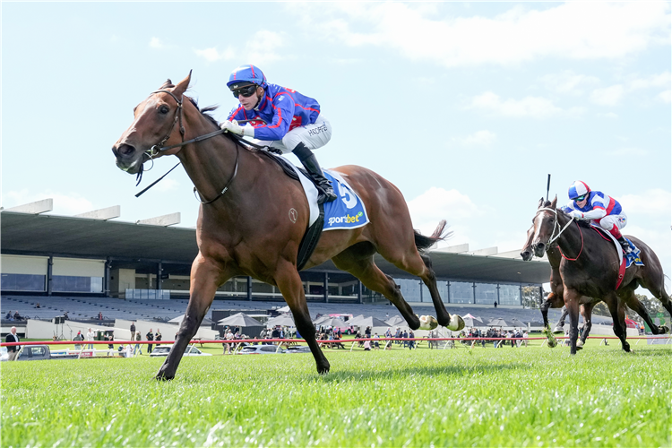 HEDGED winning the Sportsbet Christmas Stakes