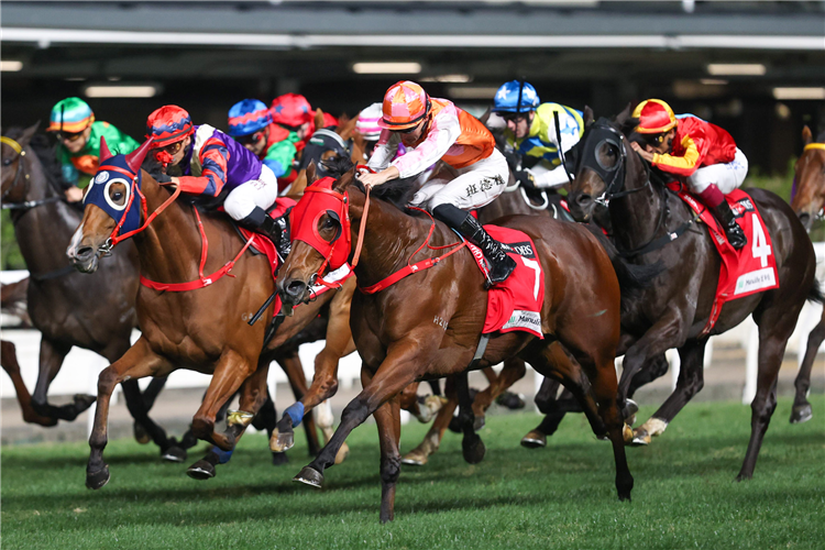 HELENE FEELING winning the THE JANUARY CUP (HANDICAP)