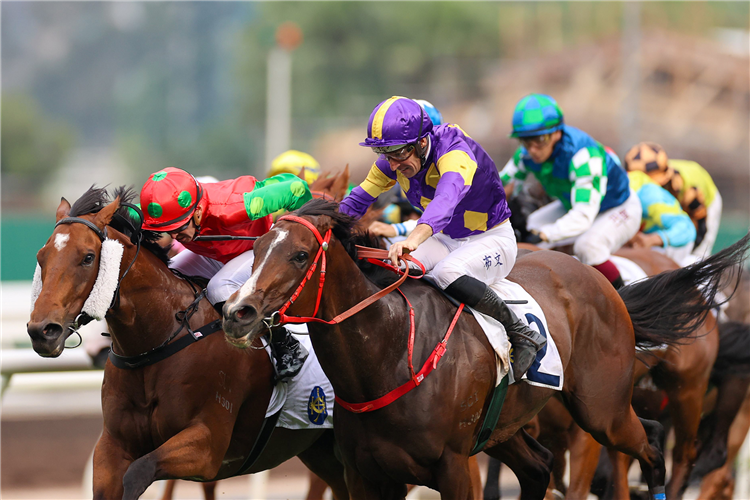 HELIOS EXPRESS winning the THE SHA TIN VASE (HANDICAP)