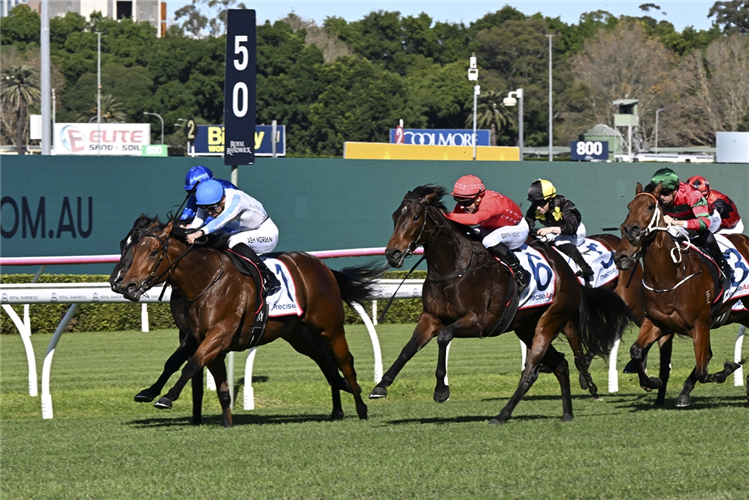 HIDDEN MOTIVE winning the PRECISE AIR HANDICAP at Randwick in Australia.