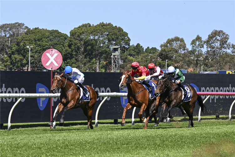 HIDDEN MOTIVE winning the CANADIAN CLUB ROMAN CONSUL STAKES at Rosehill in Australia.