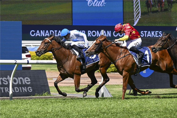 HIDDEN MOTIVE winning the CANADIAN CLUB ROMAN CONSUL STAKES at Rosehill in Australia.